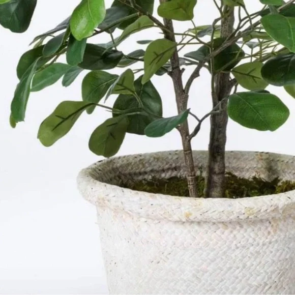 NWT Faux Ficus Tree - Threshold designed with Studio McGee - Picture 4 of 12